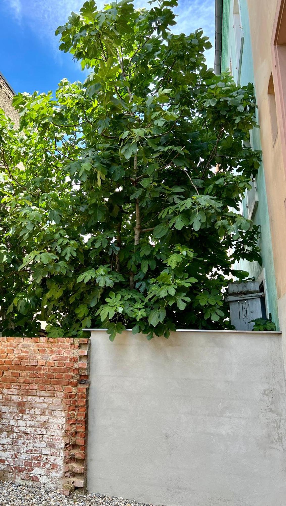 Rs-0 - Appartement F2 Au Rdc A Mulhouse Pour 1-3 Pers 외부 사진